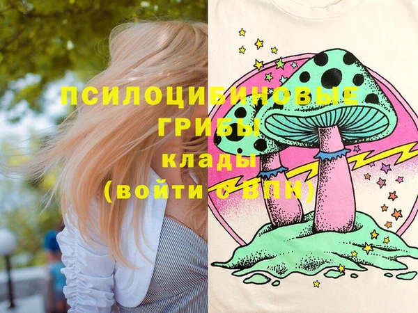 Альфа ПВП Аркадак