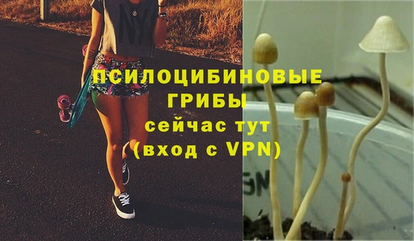 Альфа ПВП Аркадак