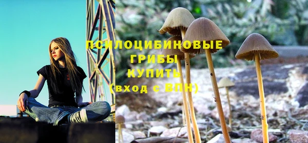 apvp Арсеньев