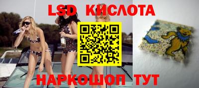 дмт Краснодар