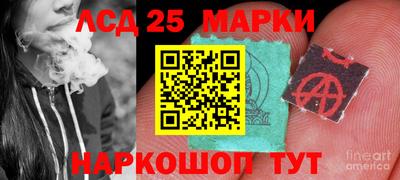 дмт Краснодар