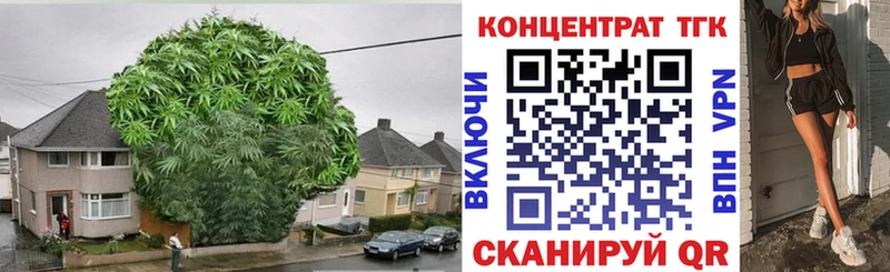 где продают   Ейск  ТГК концентрат 