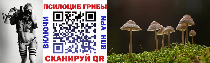 Псилоцибиновые грибы Psilocybine cubensis  Ейск 