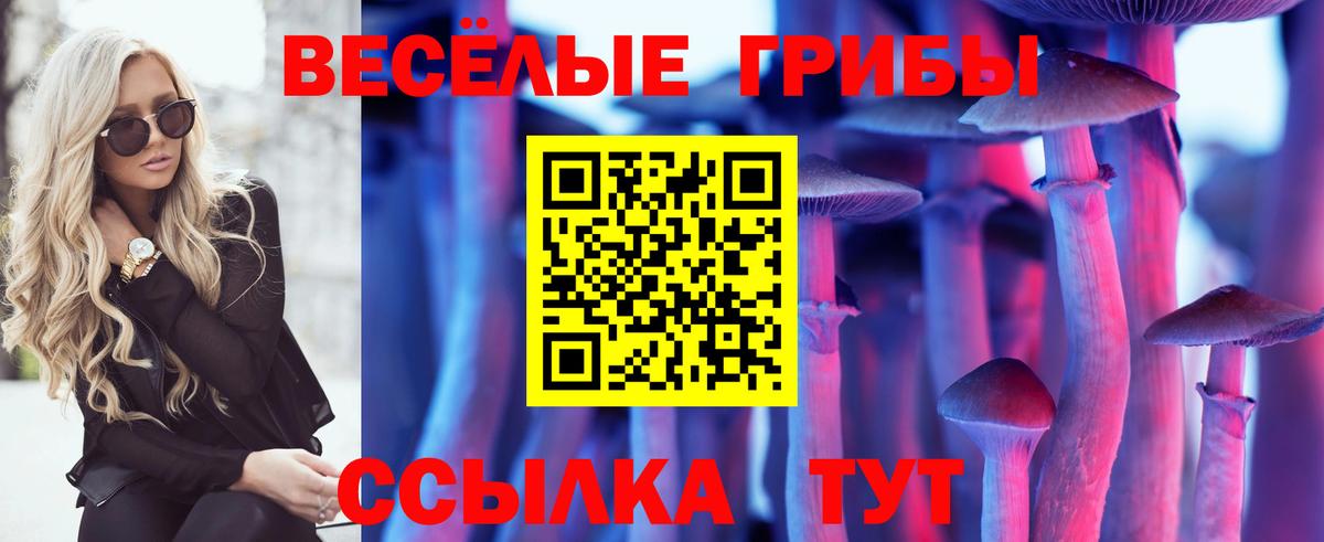 Галлюциногенные грибы MAGIC MUSHROOMS  Псилоцибиновые грибы ЛСД  Вход с VPN  Ейск 