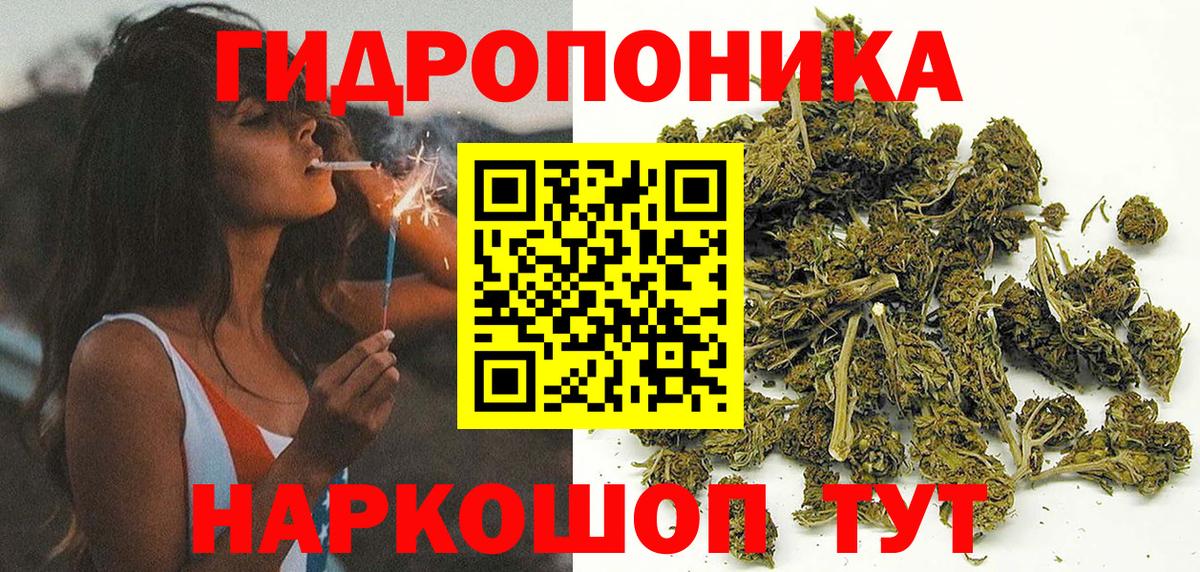 Конопля гибрид Ейск